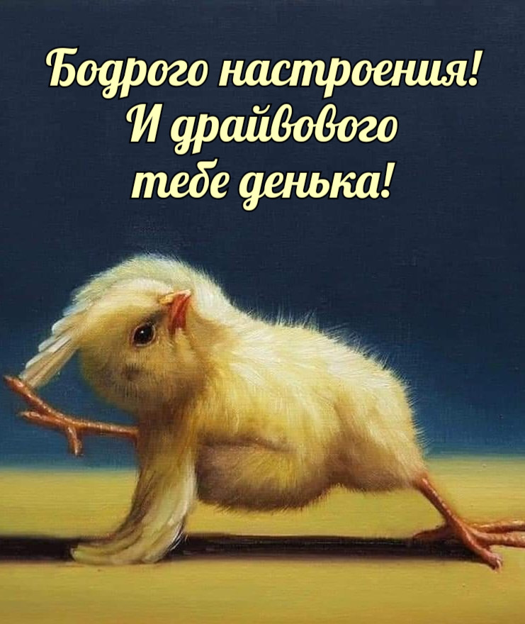 Бодрого настроения! И драйвового тебе денька!