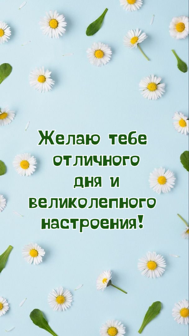 Желаю тебе  отличного дня и великолепного  настроения!
