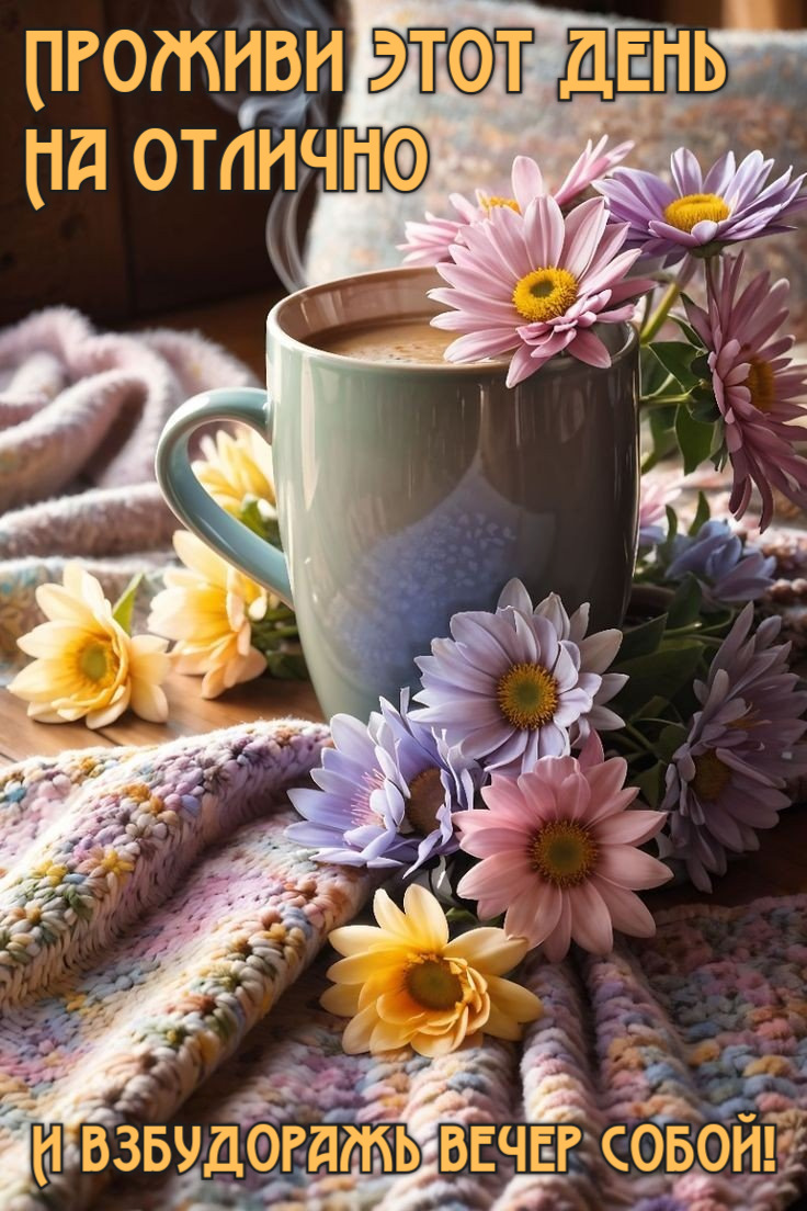 Проживи этот день На отлично И взбудоражь вечер собой!