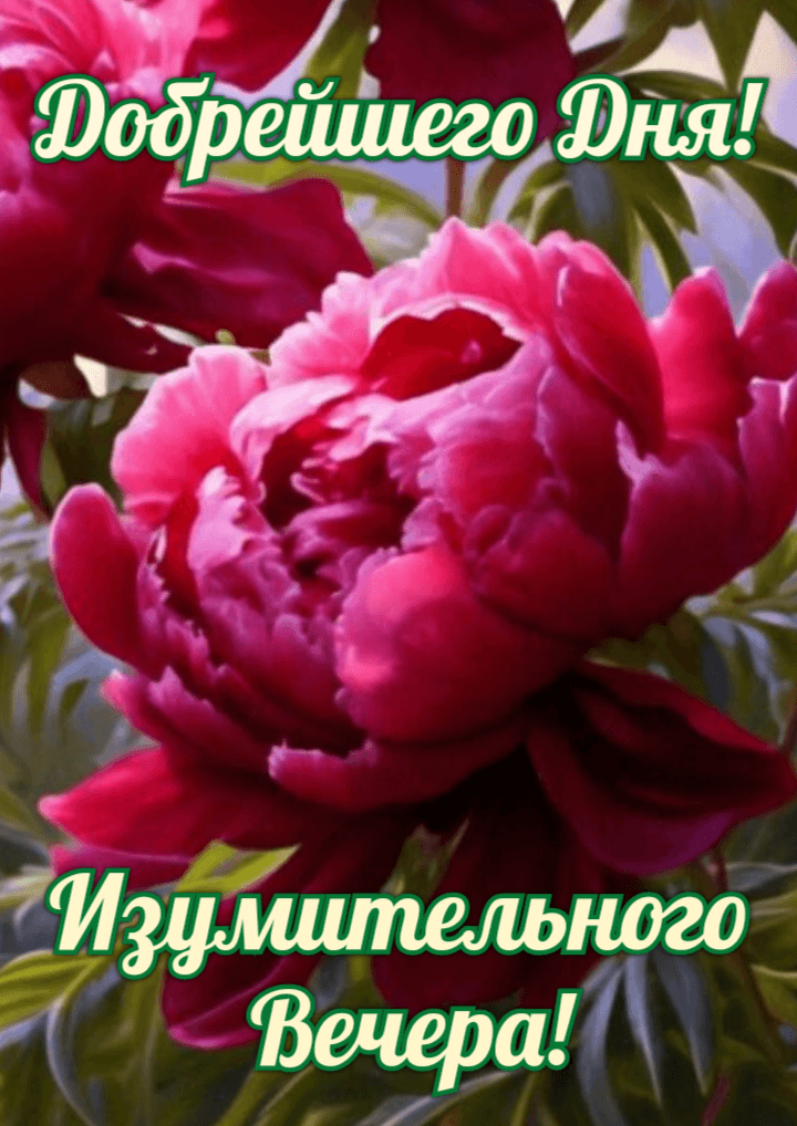 Добрейшего Дня! Изумительного Вечера!