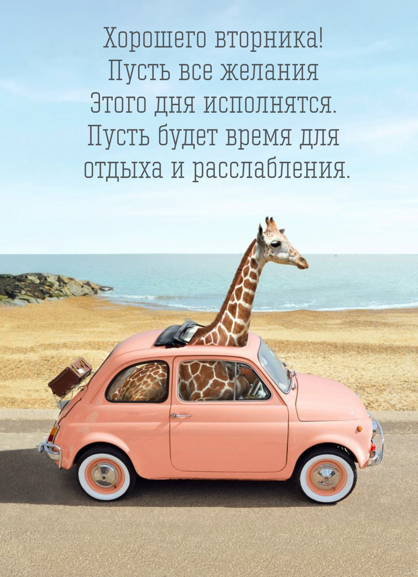 Пусть все желания  Этого дня исполнятся