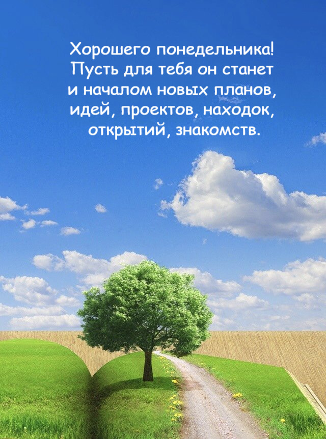 Пусть для тебя он станет  и началом новых планов,  идей, проектов, находок,  открытий, знакомств.