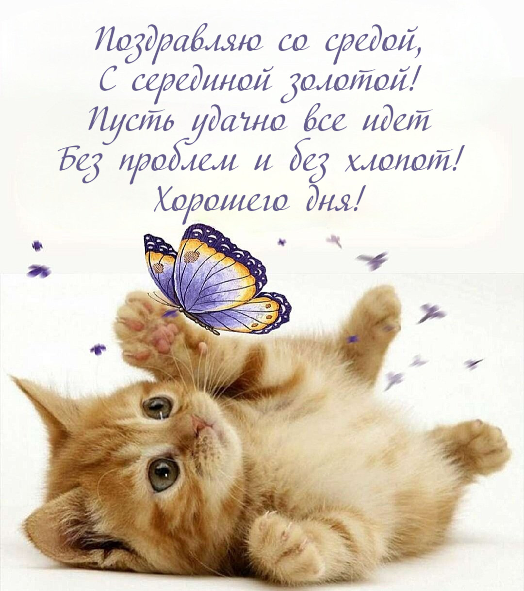 Поздравляю со средой, С серединой золотой! Пусть удачно все идет Без проблем и без хлопот! Хорошего дня!