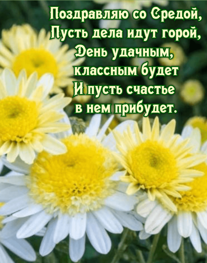 Поздравляю со Средой, Пусть дела идут горой