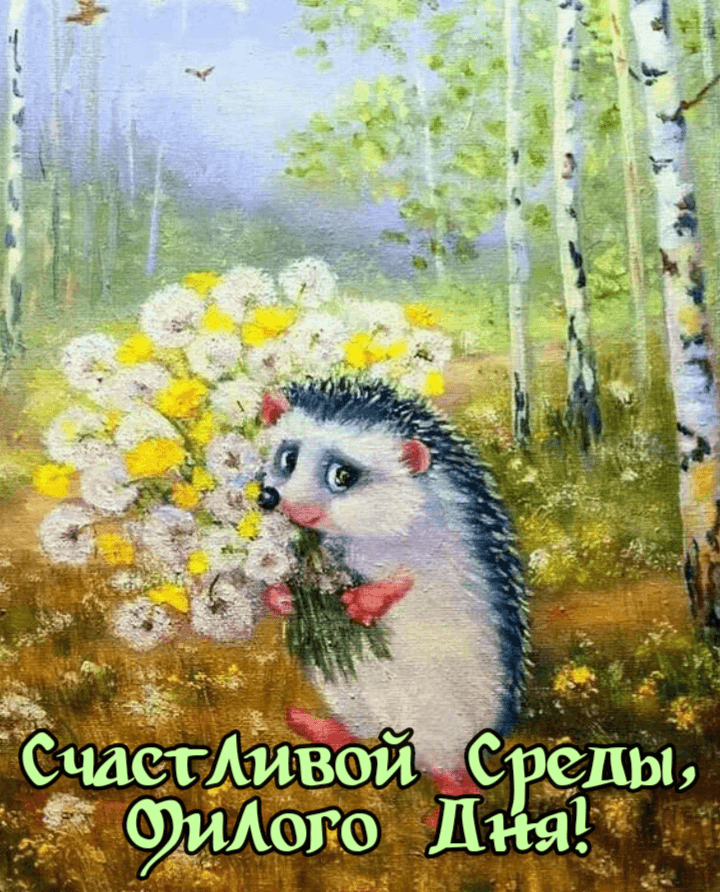 Счастливой Среды, Милого Дня!