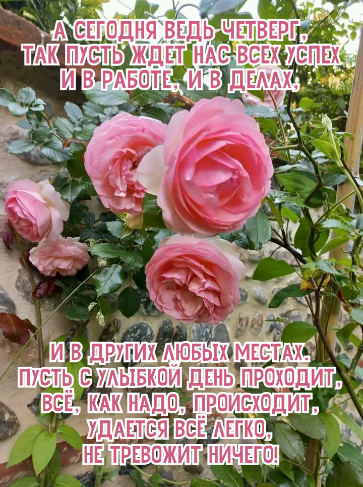 А сегодня ведь четверг, Так пусть ждет нас всех успех