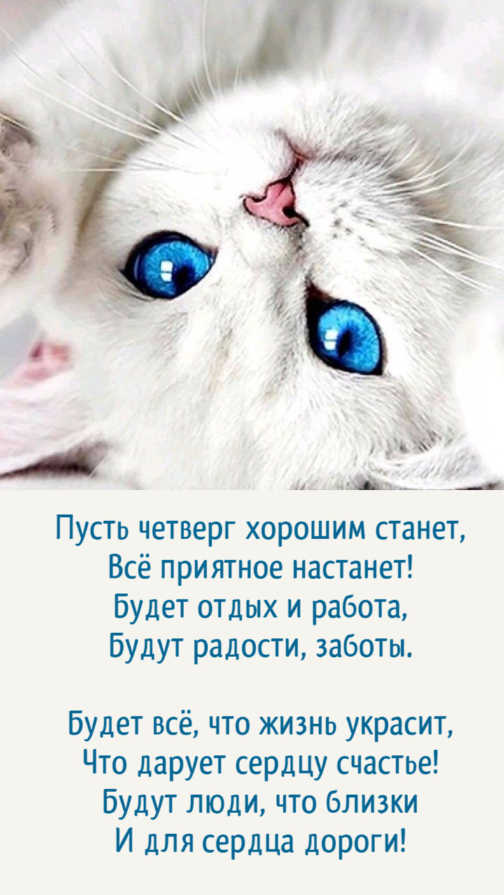 Будет отдых и работа, Будут радости, заботы.