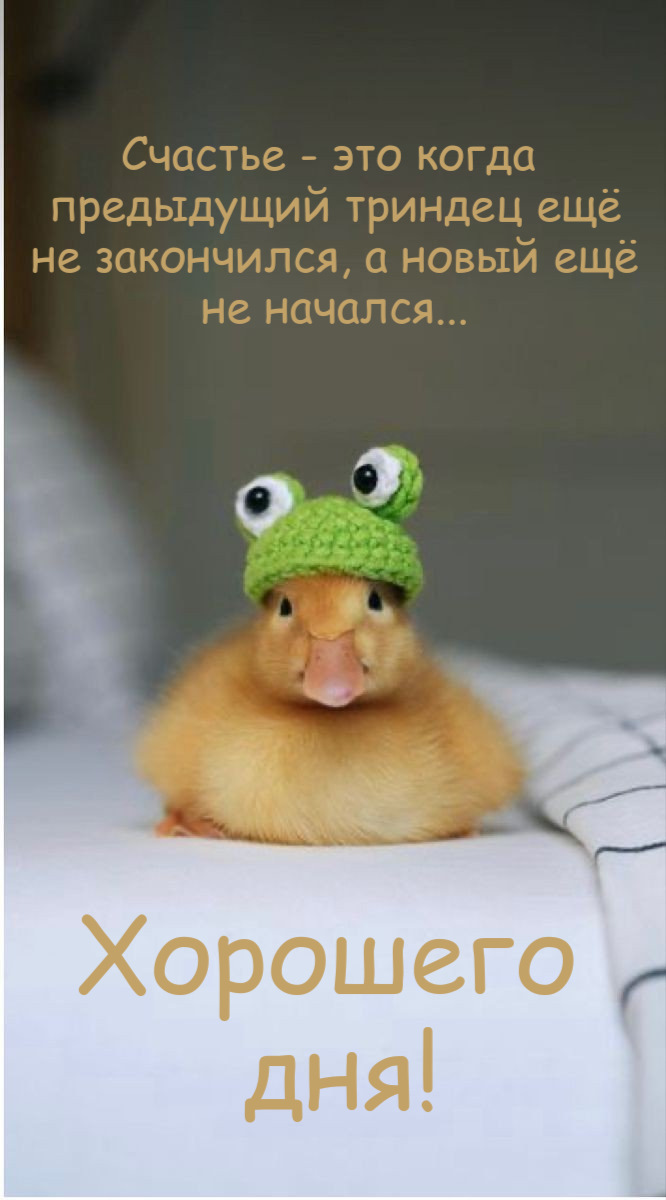 Счастье - это когда