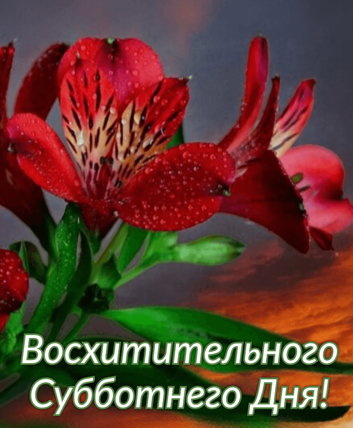 Восхитительного Субботнего Дня!