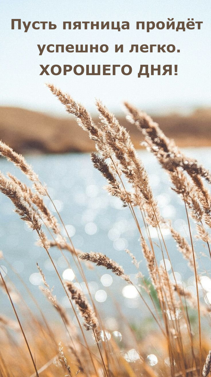Пусть пятница пройдёт  успешно и легко. ХОРОШЕГО ДНЯ!