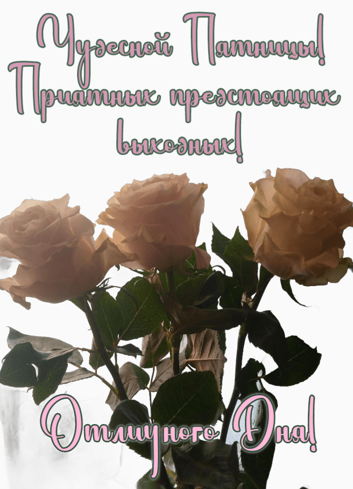 Чудесной Пятницы! Приятных предстоящих  выходных!