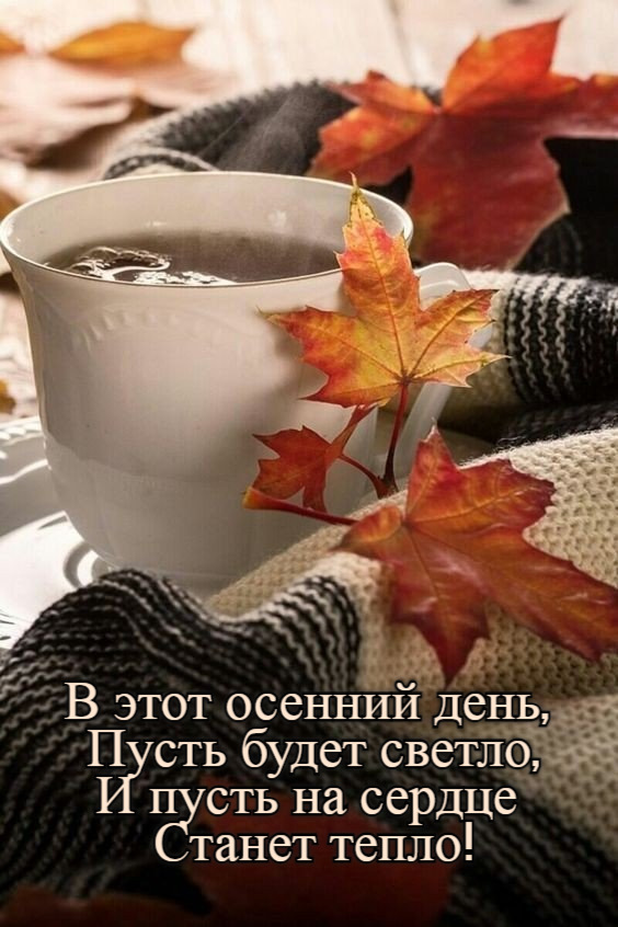 В этот осенний день,  Пусть будет светло