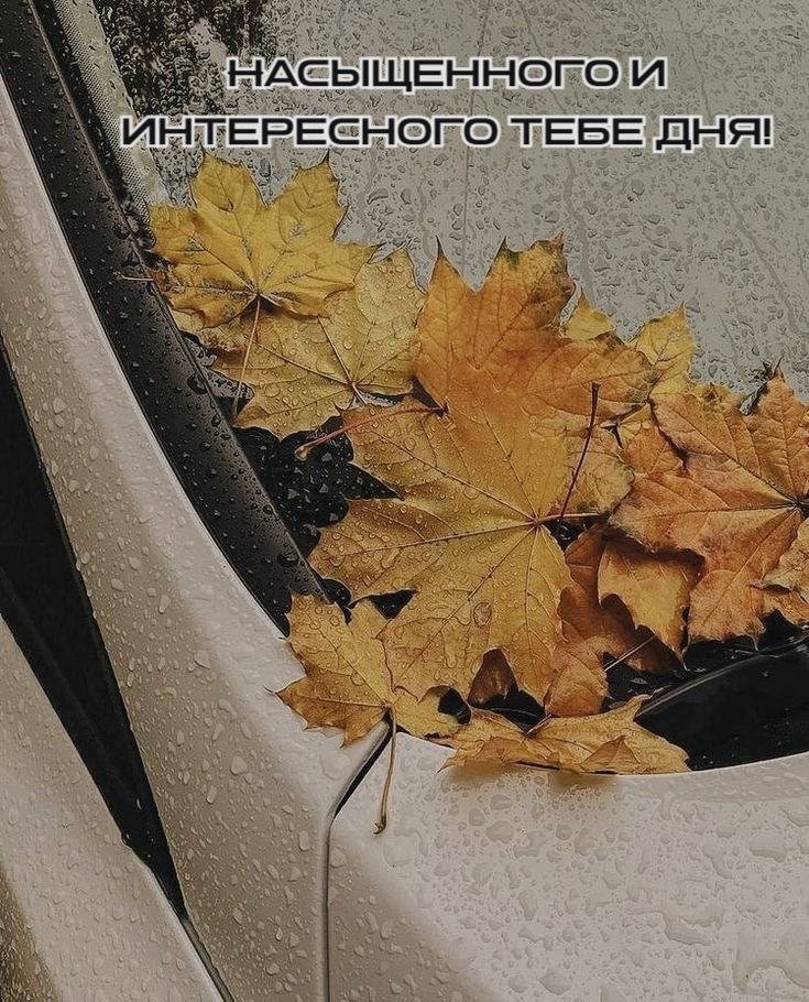 Насыщенного и интересного тебе дня!