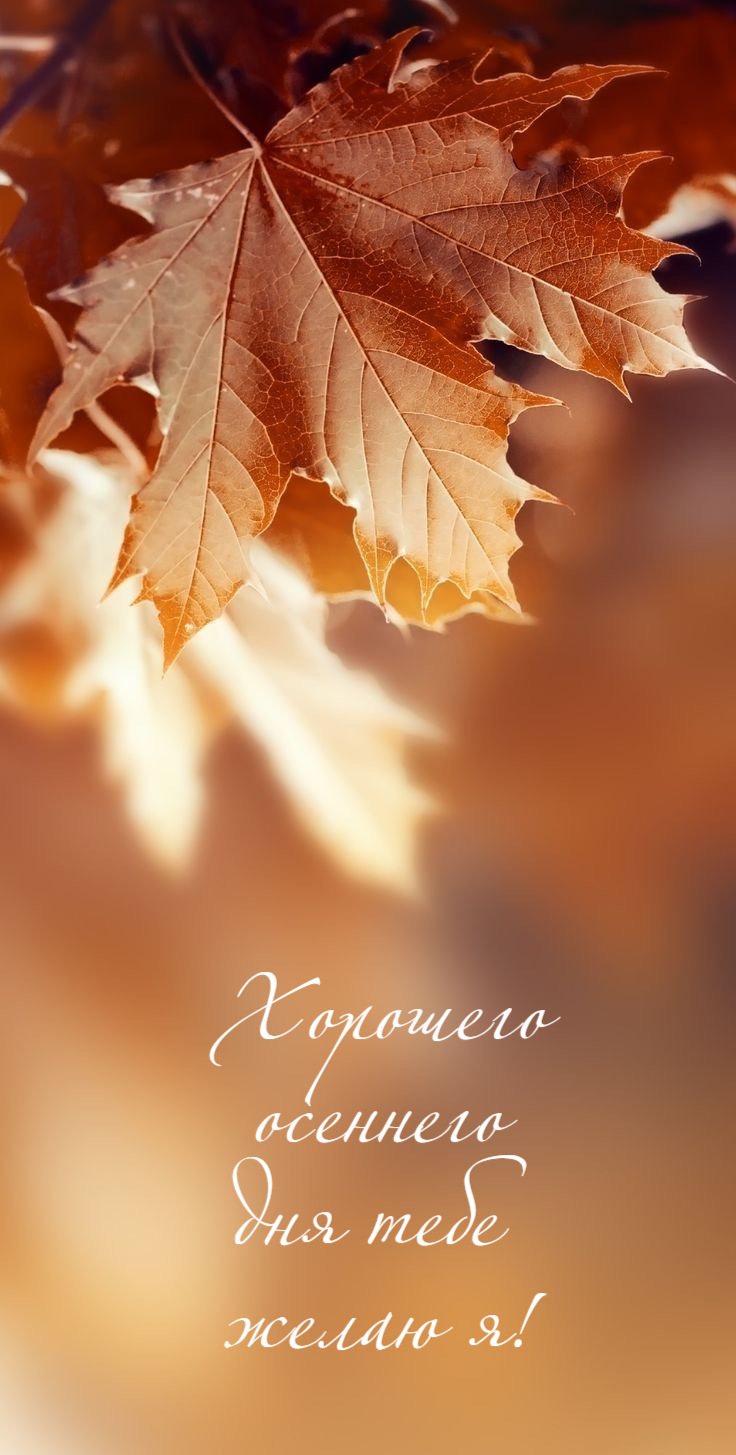 Хорошего осеннего дня тебе  желаю я!