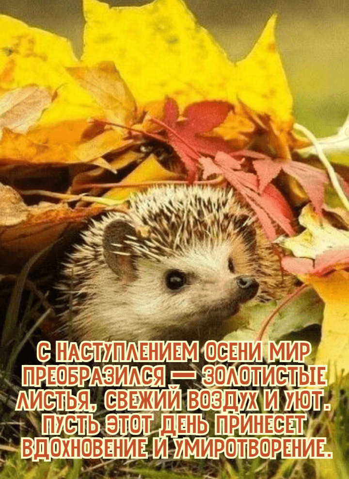 С наступлением осени мир преобразился
