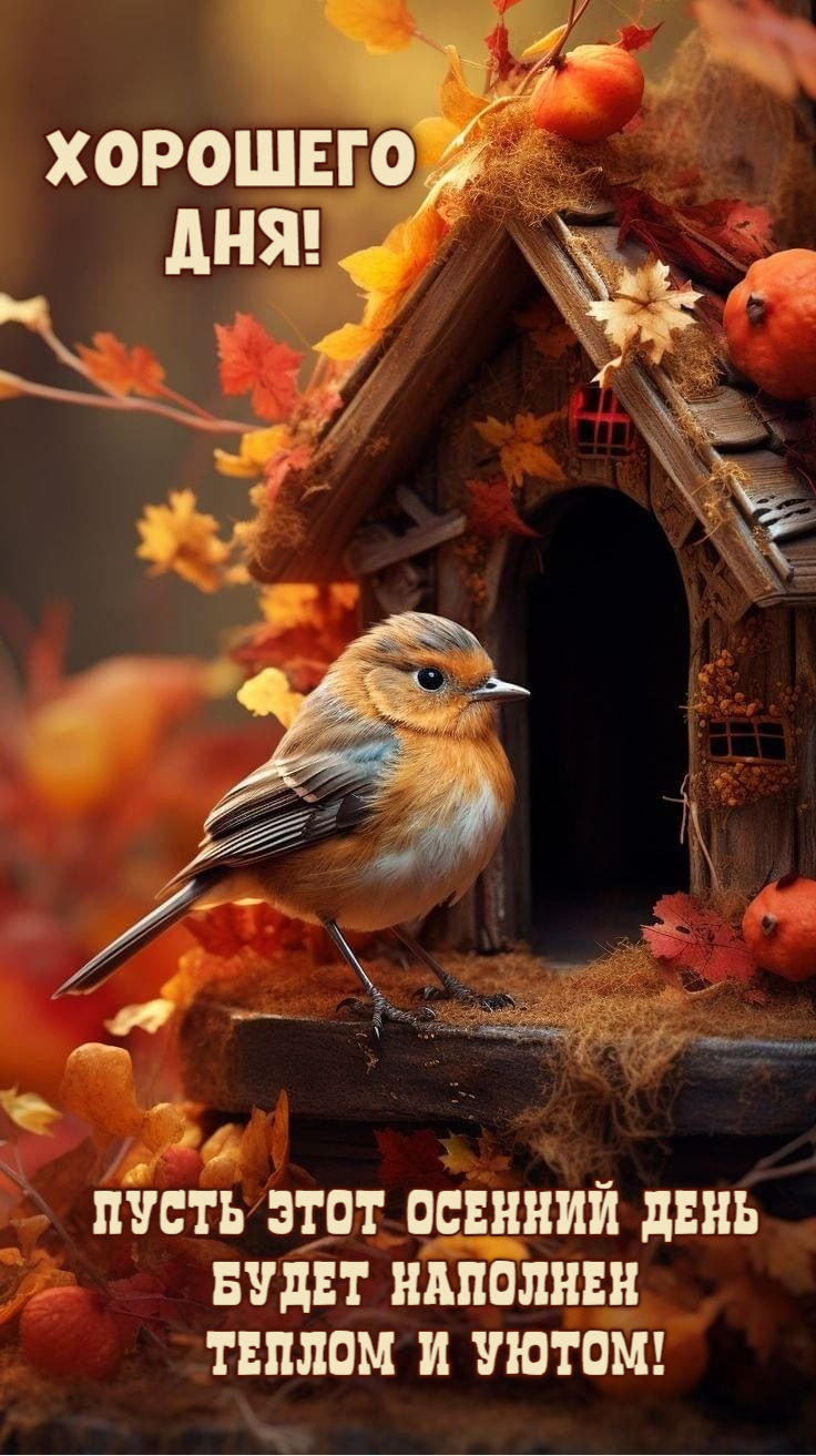 Пусть этот осенний день  будет наполнен  теплом и уютом!