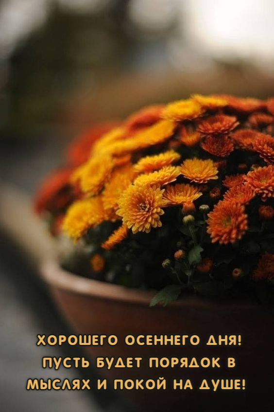 Пусть будет порядок в мыслях и покой на душе!