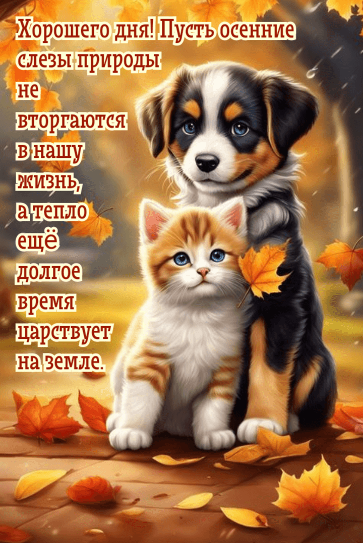 Пусть осенние  слезы природы  не  вторгаются  в нашу  жизнь,  а тепло  ещё  долгое  время  царствует  на земле.