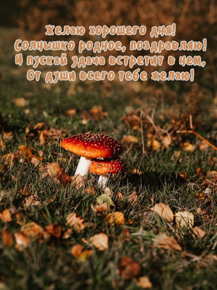 Солнышко родное, поздравляю!