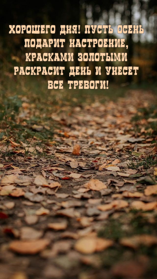 Пусть осень подарит настроение
