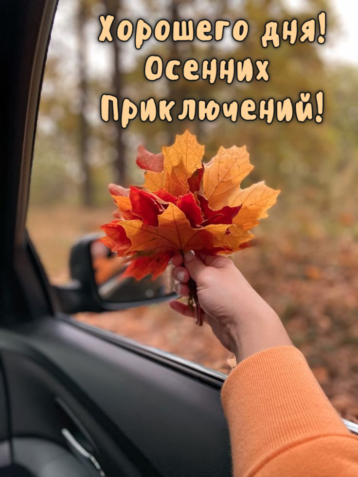 Хорошего дня! Осенних  Приключений!