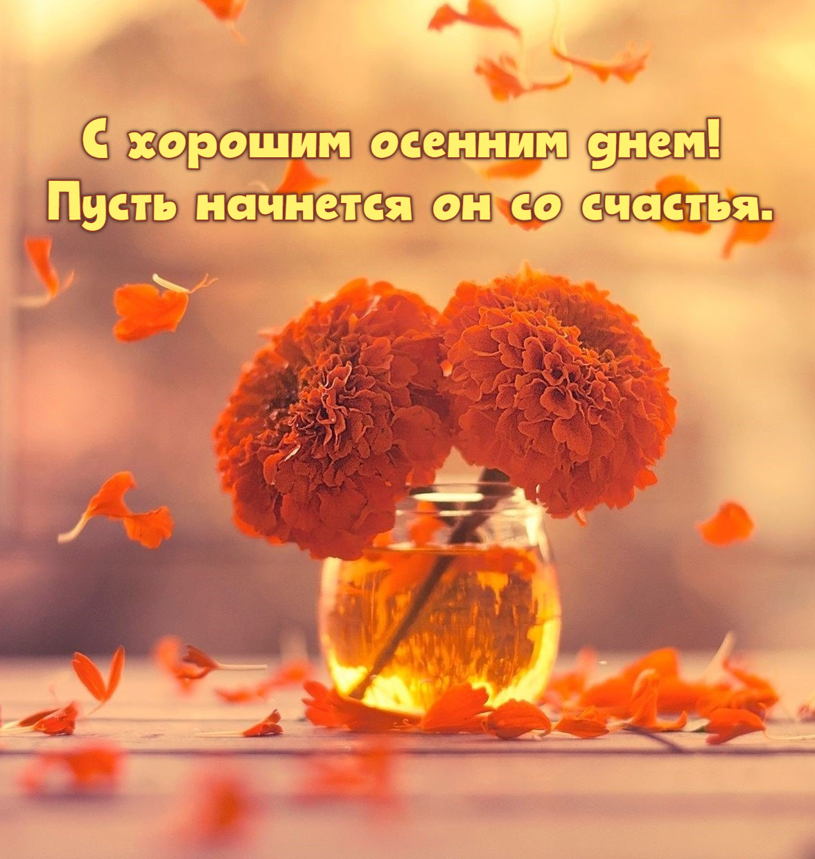 С хорошим осенним днем! Пусть начнется он со счастья.