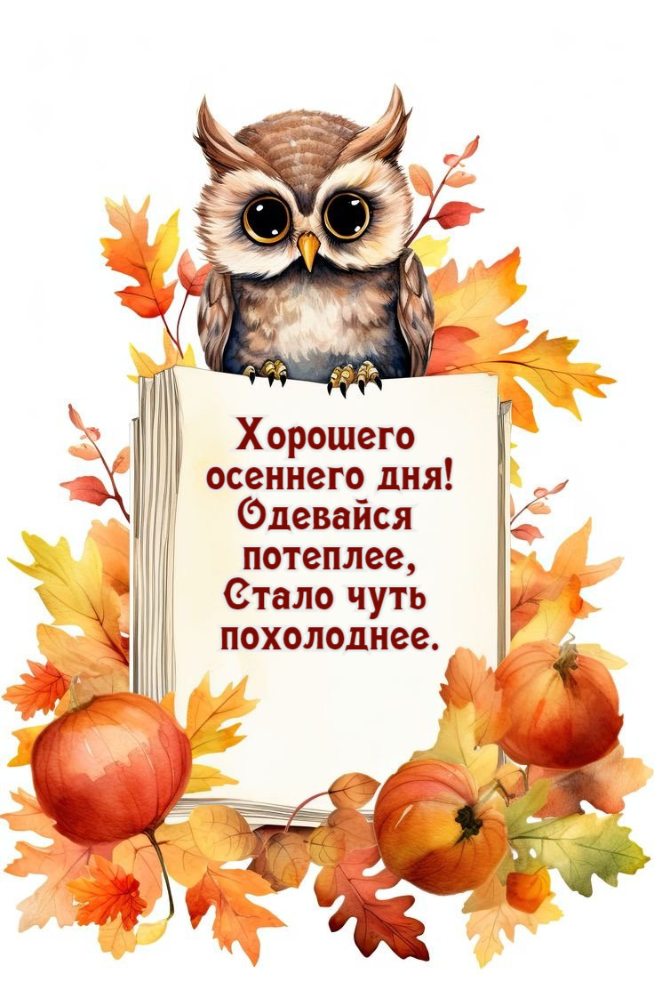 Хорошего осеннего дня! Одевайся потеплее, Стало чуть похолоднее.