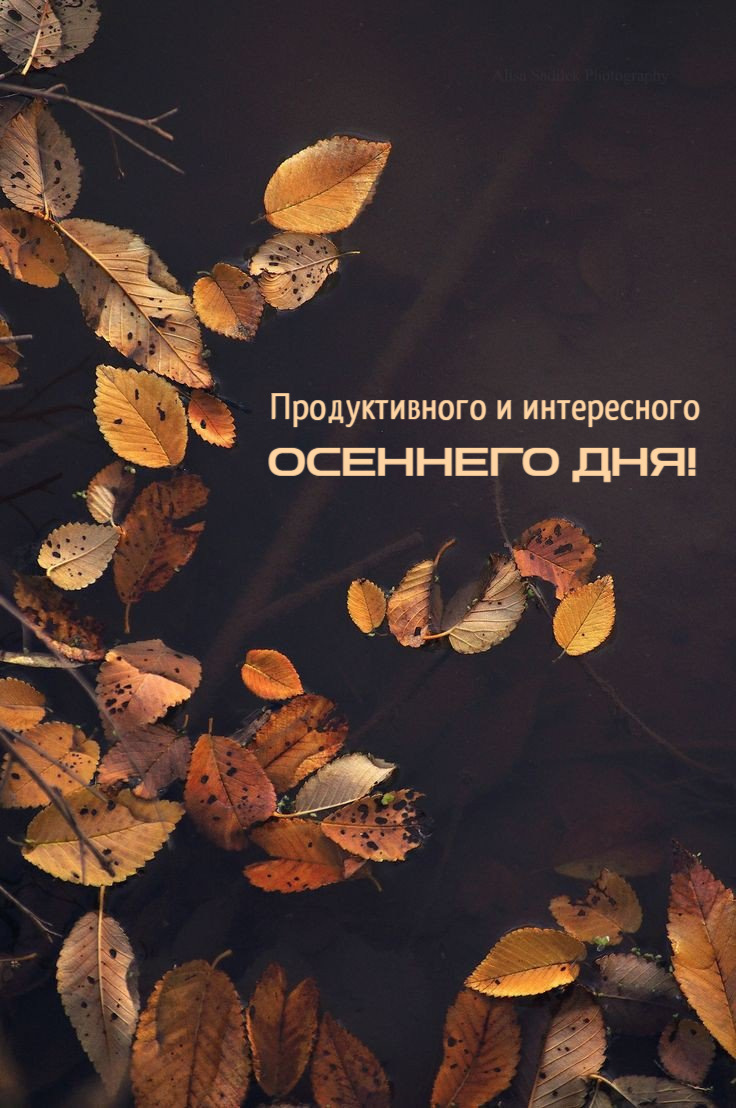Продуктивного и интересного осеннего дня!