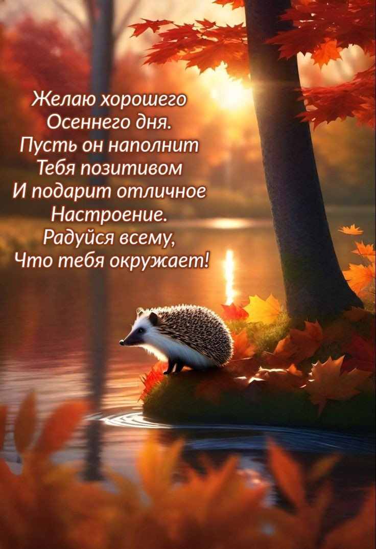 Радуйся всему, Что тебя окружает!