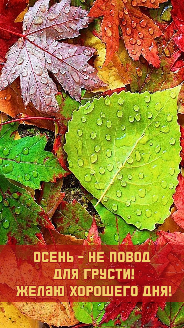 Осень - не повод для грусти!