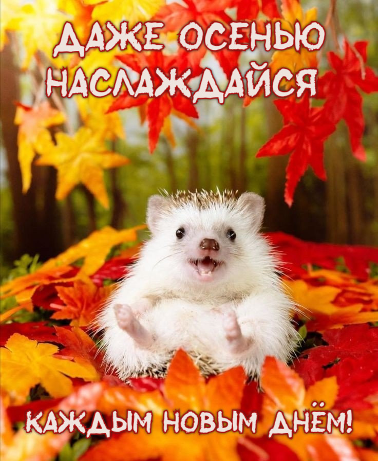 Даже осенью Наслаждайся Каждым новым днём!