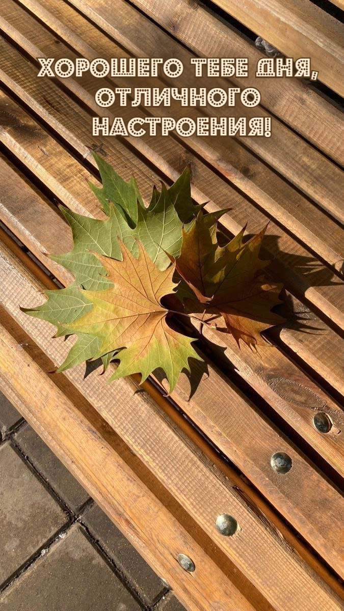 Хорошего тебе дня,  отличного  настроения!
