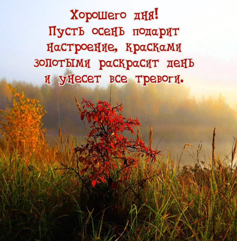 Пусть осень подарит настроение, красками золотыми раскрасит день и унесет все тревоги.