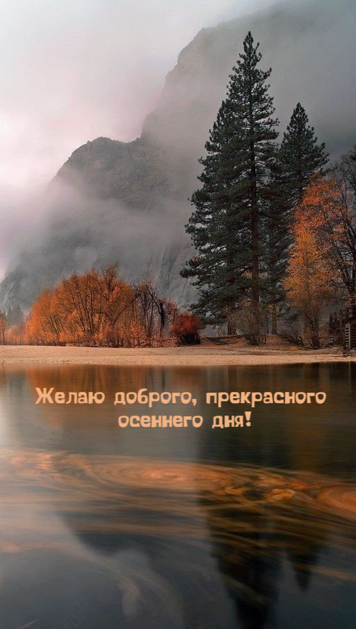 Желаю доброго, прекрасного  осеннего дня!
