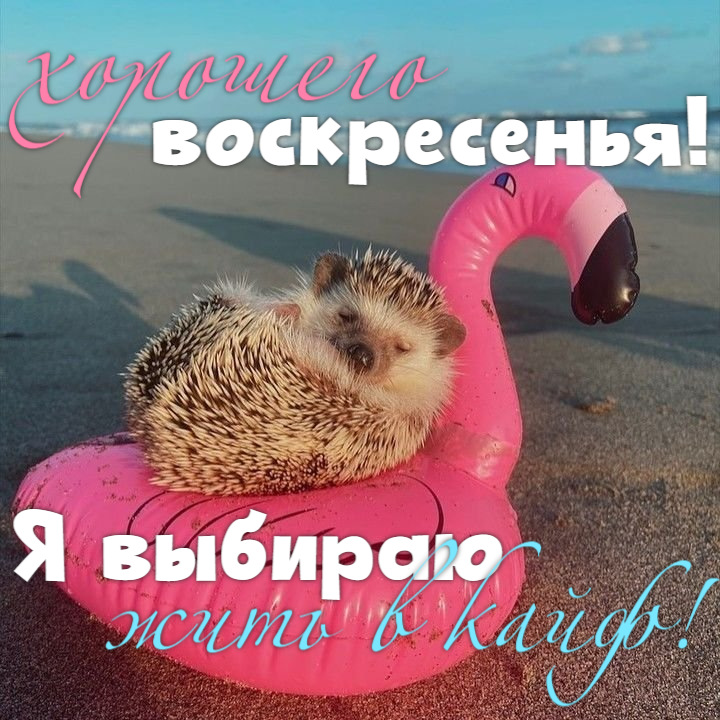 Хорошего воскресенья!