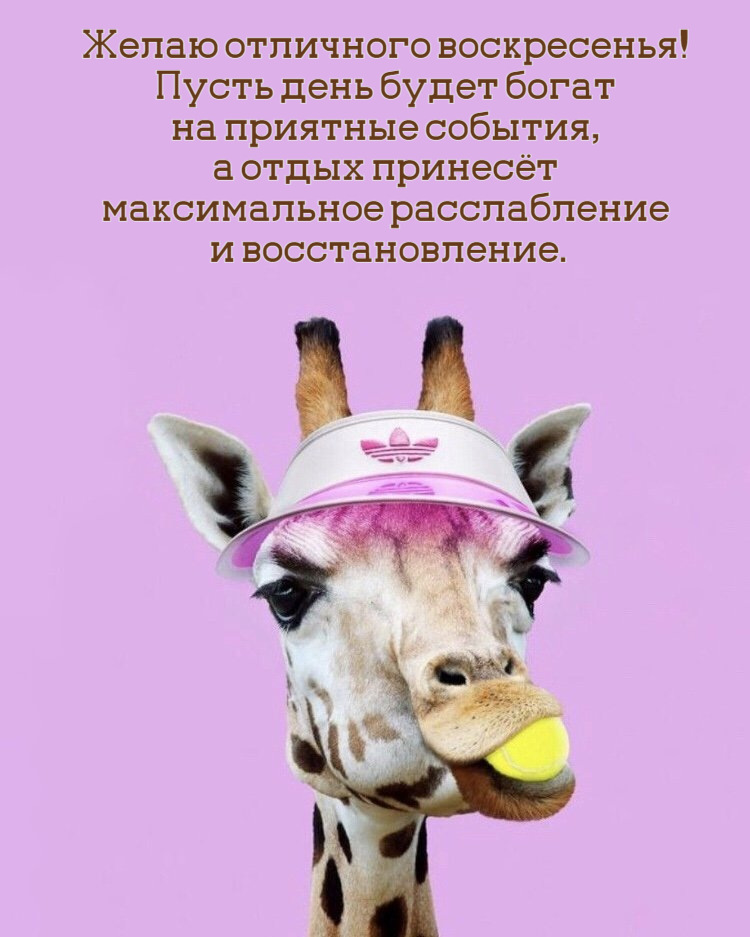 Желаю отличного воскресенья! Пусть день будет богат на приятные события, а отдых принесёт максимальное расслабление и восстановление.