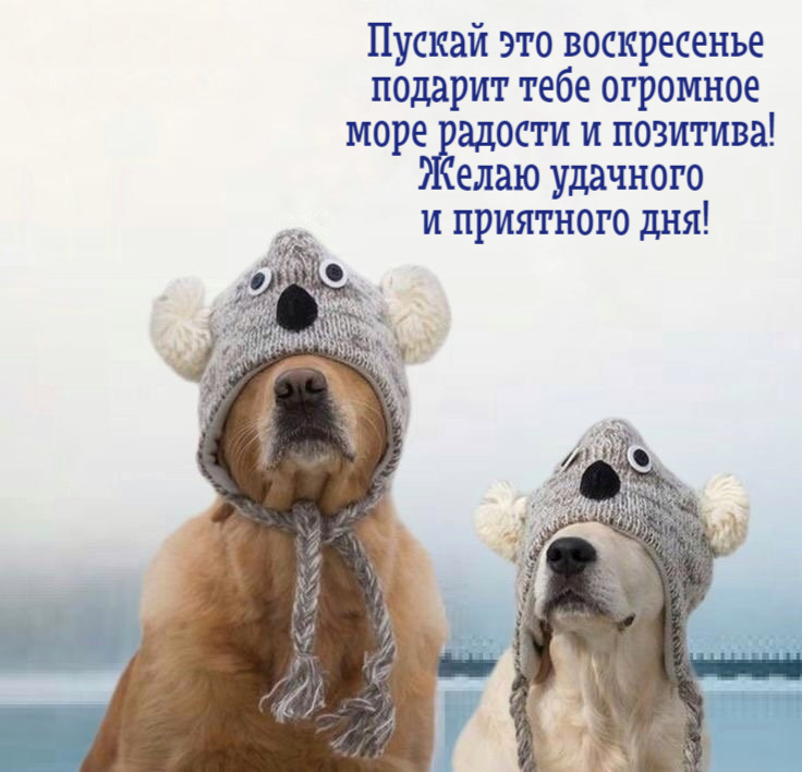 Пускай это воскресенье подарит тебе огромное море радости и позитива! Желаю удачного и приятного дня!