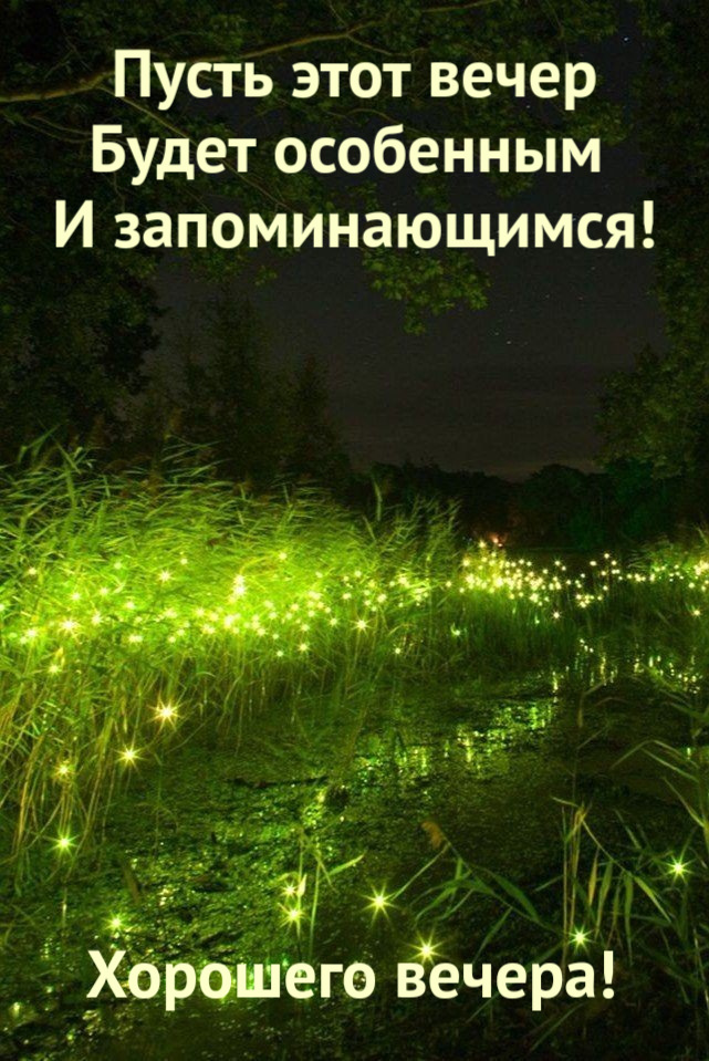 Пусть этот вечер Будет особенным