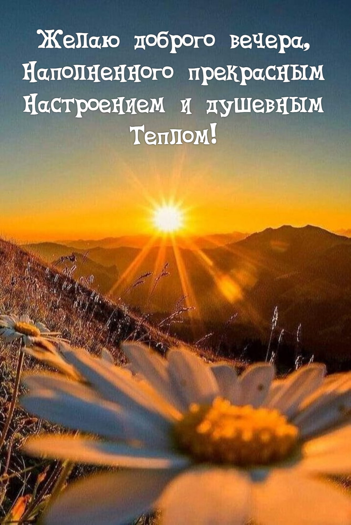 Желаю доброго вечера, Наполненного прекрасным Настроением