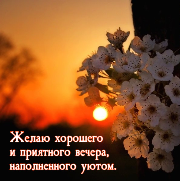 Желаю хорошего  и приятного вечера,  наполненного уютом.