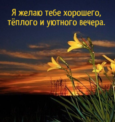 Я желаю тебе хорошего,  тёплого и уютного вечера.