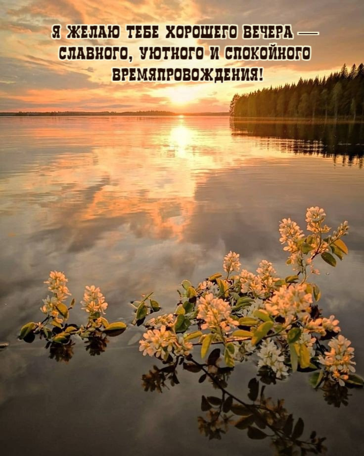 Я желаю тебе хорошего вечера