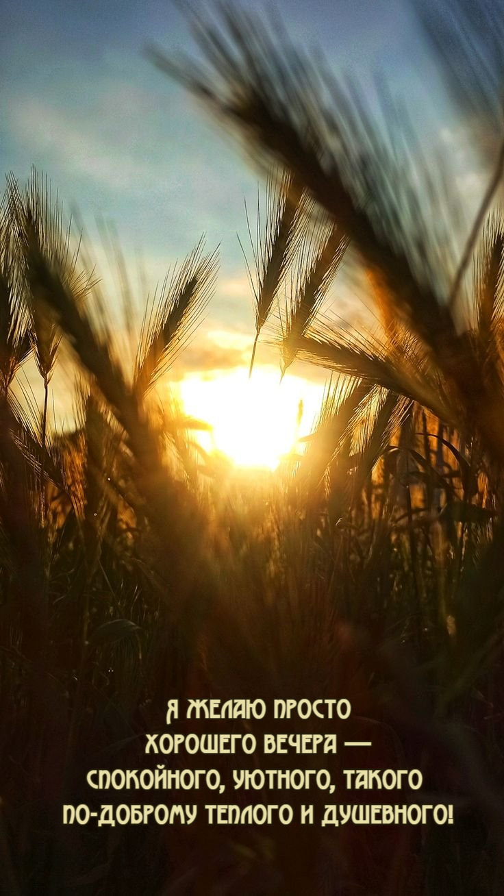 Я желаю просто  хорошего вечера