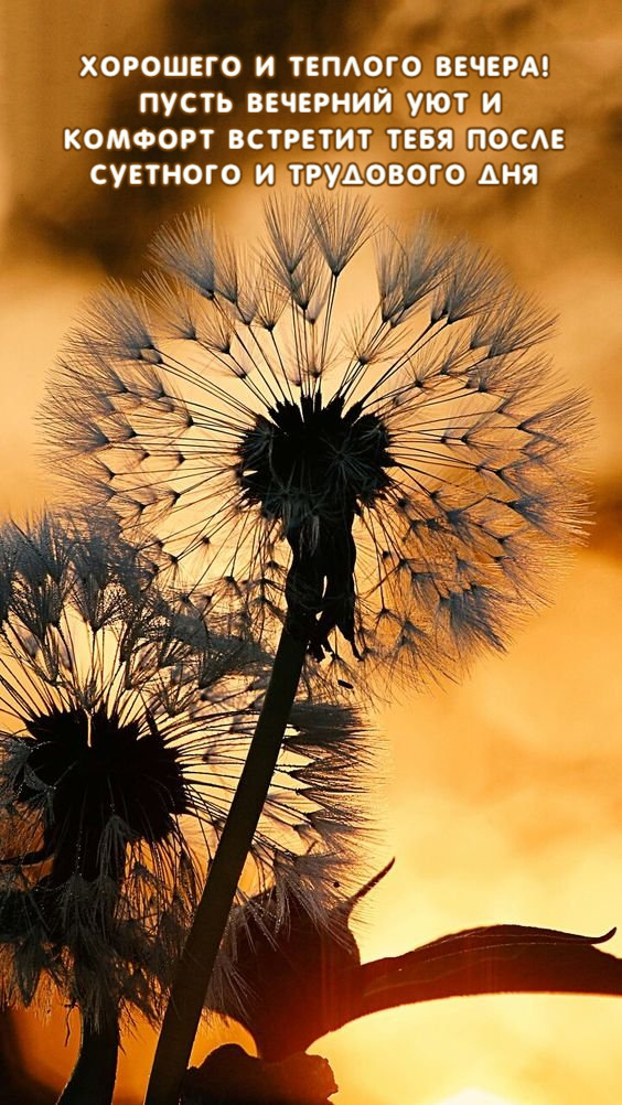 Пусть вечерний уют и  комфорт встретит тебя
