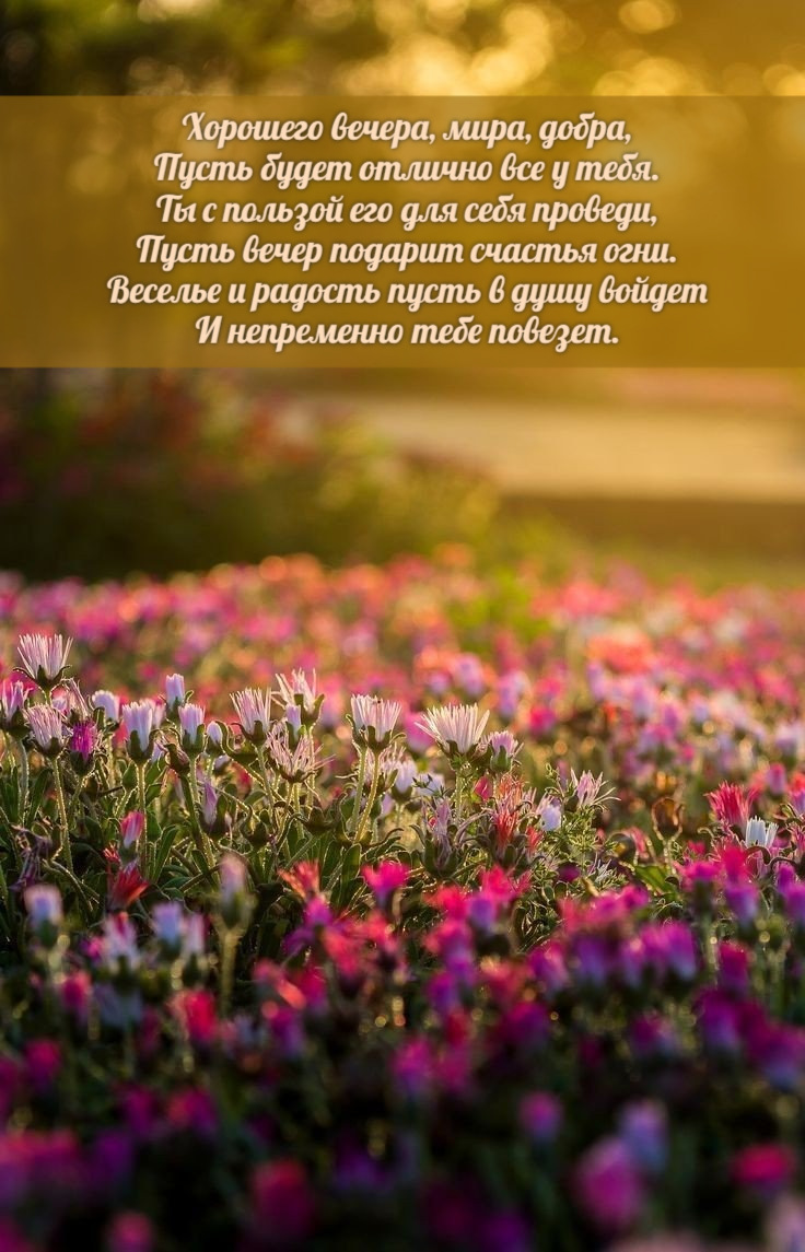 Пусть будет отлично все у тебя