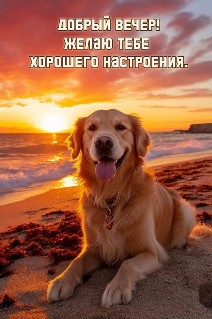 Желаю тебе Хорошего настроения.