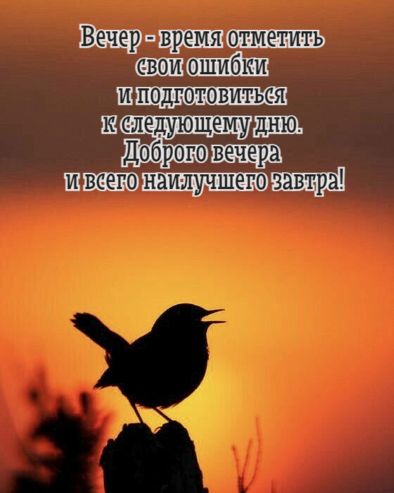 Вечер - время отметить свои ошибки и подготовиться к следующему дню. Доброго вечера и всего наилучшего завтра!