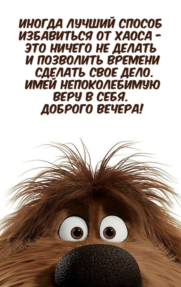 Иногда лучший способ избавиться от хаоса - это ничего не делать и позволить времени сделать свое дело. Имей непоколебимую веру в себя. Доброго вечера!