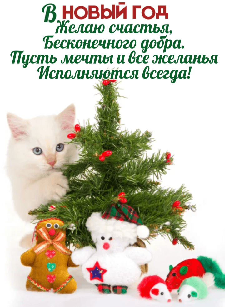 Желаю счастья, Бесконечного добра.