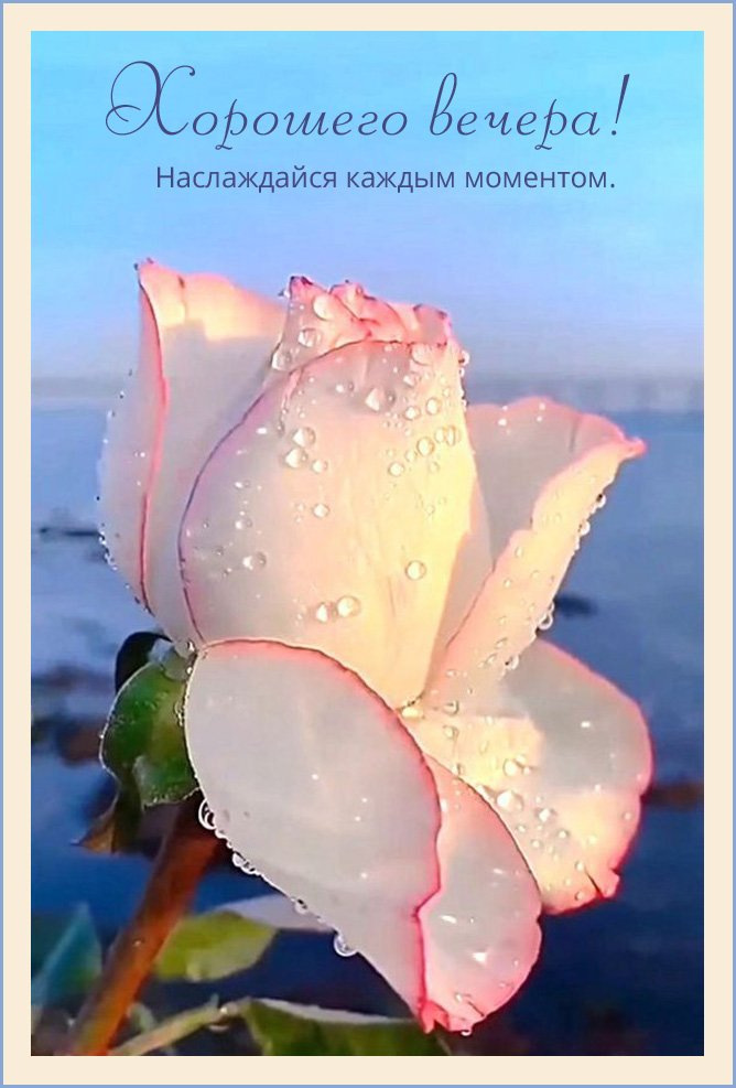 Наслаждайся каждым моментом.